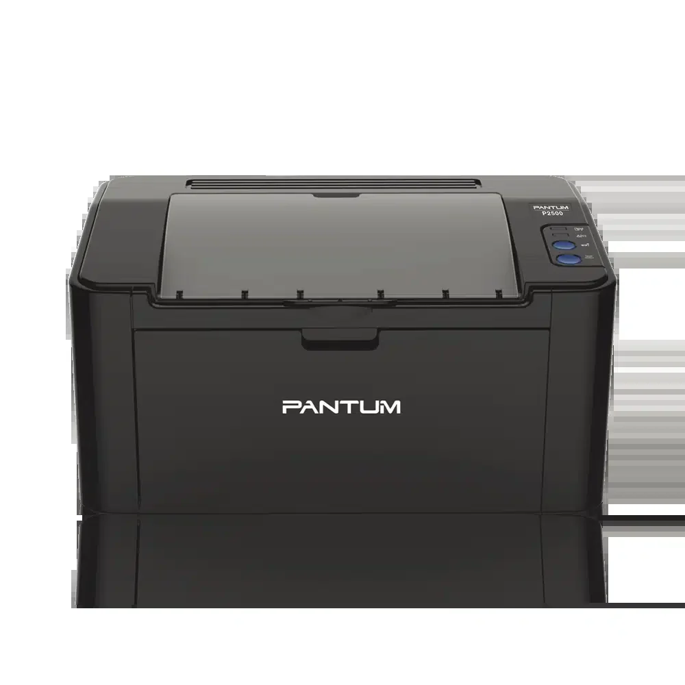Принтер лазерный Pantum P2509NW (A4,1200x1200, 22ppm,128Mb, USB 2.0, Ethernet RJ-45, Wi-Fi, картридж PC-219) с прошивкой