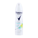 Женский спрей Stayt blue 12×150 мл Rexona
